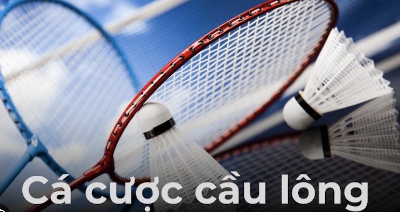 Cách đặt cược cầu lông Ok9 để tối ưu hóa lợi nhuận 2 Các Loại Hình Cá Cược Cầu Lông Tại OK9
